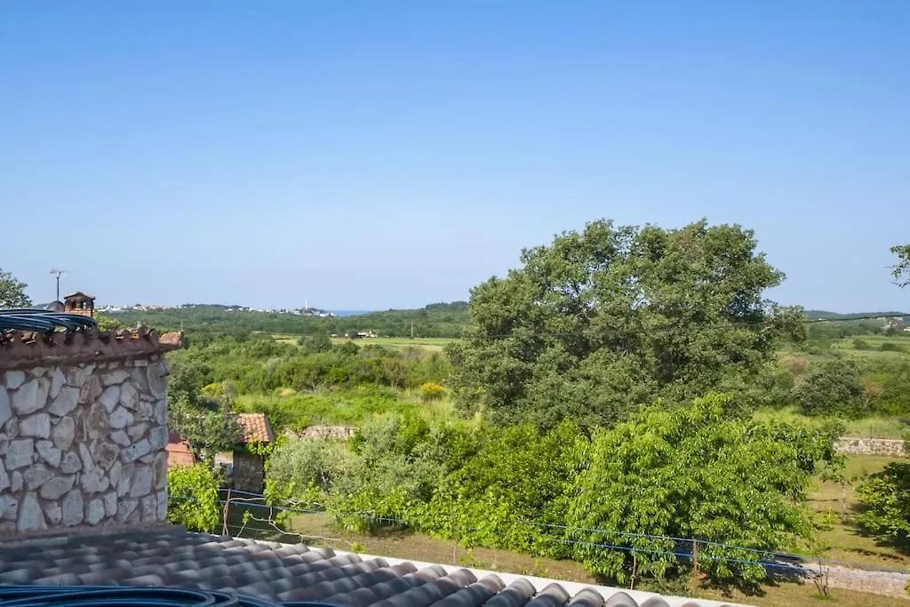 Childern And Adults Enjoy Games,Pool And Seaview Villa Rovinj Croatia