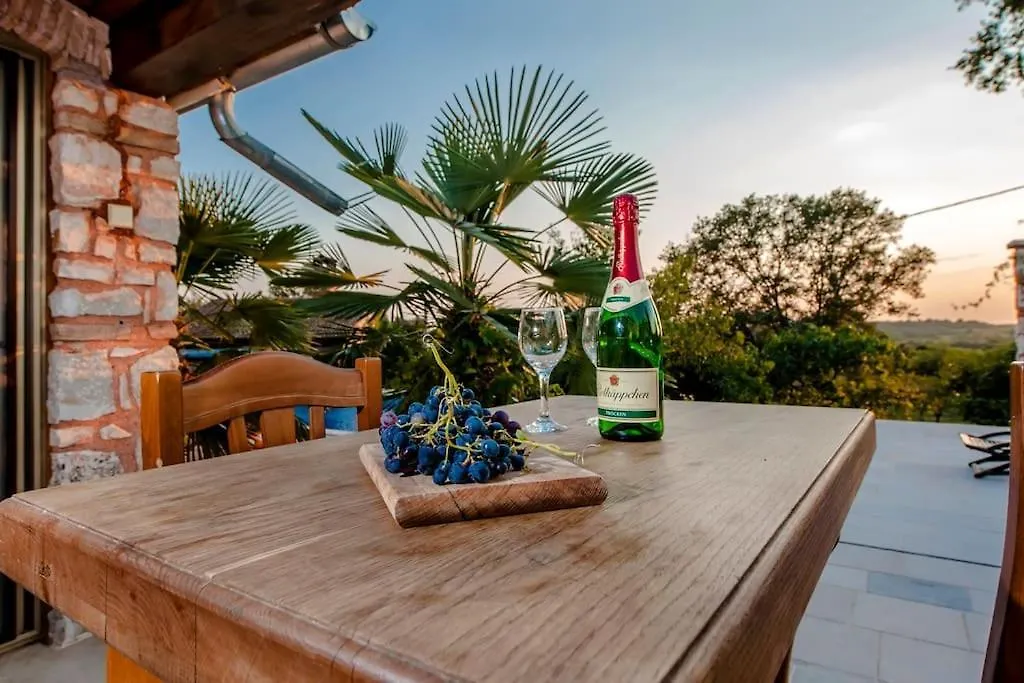 Childern And Adults Enjoy Games,Pool And Seaview Villa Rovinj 0*,